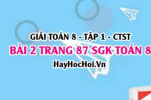 Giải bài 2 trang 87 Toán 8 Tập 1 SGK Chân trời sáng tạo